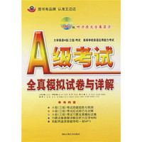 王迈迈英语系列丛书：A级考试全真模拟试卷与详解（屡次押中A级考题）（光碟套装）