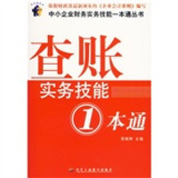 查账实务技能1本通