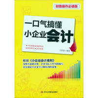财务操作必读版:一口气搞懂小企业会计