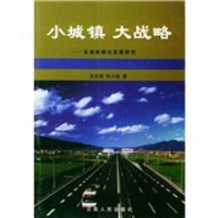 小城镇 大战略:玉溪城镇化发展研究