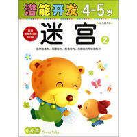 小小孩潜能开发丛书：迷宫2（4-5岁）（幼儿园大班）