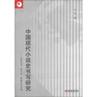 中国现代小说史书写研究：以夏志清、陈平原、杨联芬为个案