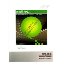 职业技能培训丛书：高级维修电工