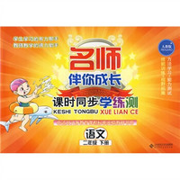 名师伴你成长·课时同步学练测：语文（2年级）（下册）（人教版）