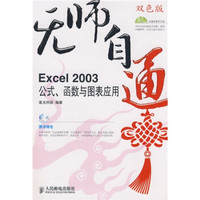 无师自通：Excel 2003公式、函数与图表应用