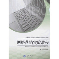 高等学校电子商务专业本科系列实验教材：网络营销实验教程