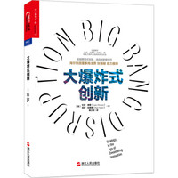 大爆炸式创新