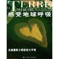 感受地球呼吸:法国摄影大师航拍大手笔