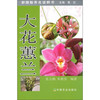 大花蕙兰