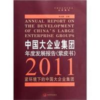 2011紧环境下的中国大企业集团:中国大企业集团年度发展报告(紫皮书)