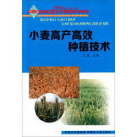 内蒙古自治区5大作物栽培技术丛书：小麦高产高效种植技术