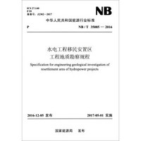 NB/T 35085—2016 水电工程移民安置区工程地质勘察规程