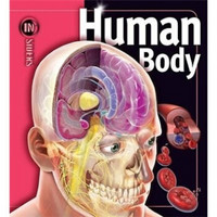 Human Body  人体