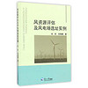 风资源评估及风电场选址实例