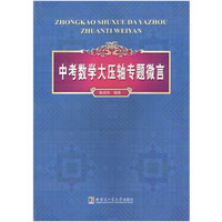 中考数学大压轴专题微言