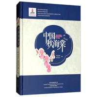 中国秋海棠