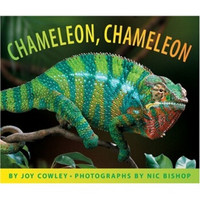 Chameleon, Chameleon  变色龙，变色龙