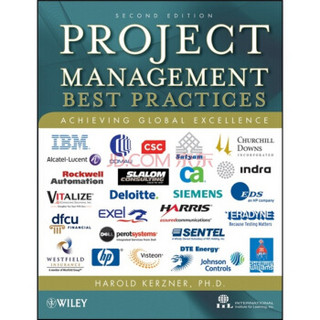 （微损-特价品）Project Management: Best Practices: Achieving Global Excellence项目管理最佳实践方法：达成全球卓越表现