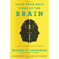Tales from Both Sides of the Brain  A Life in Ne