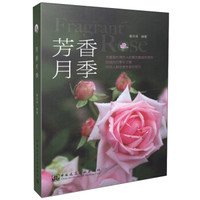 芳香月季