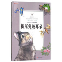 棉尾兔破耳朵/西顿野生动物故事集