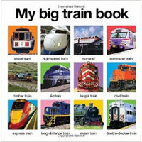 My Big Train Book