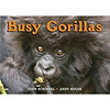 Busy Gorillas