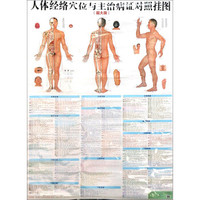 人体经络穴位与主治病证对照挂图(超大版)