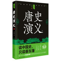 中国历代通俗演义:唐史演义(上)