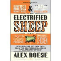 Electrified Sheep