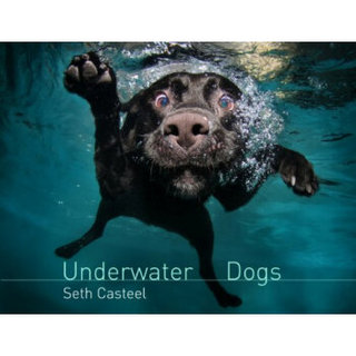 Underwater Dogs