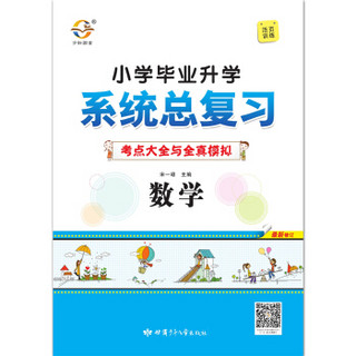 小学系统总复习 数学