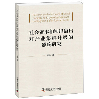 社会资本和知识溢出对产业集群升级的影响研究