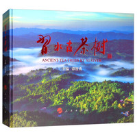 習水古茶树