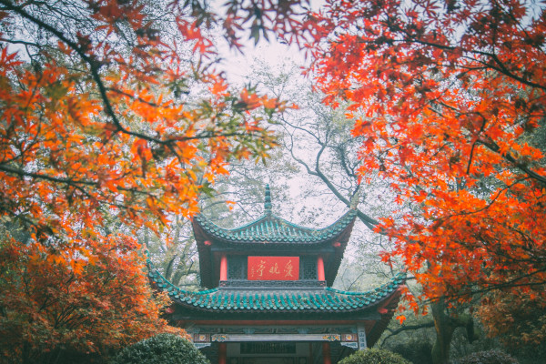 秋游计划走起!国内赏秋景点榜