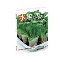 水培菜园