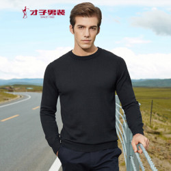 TRIES 才子 9287E2322 男士圆领纯色修身毛衫
