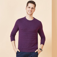 相思鸟 xiangsiniao 毛衫男圆领修身纯色时尚简约基础百搭微弹秋季新品 M3紫色 175/92A(110)