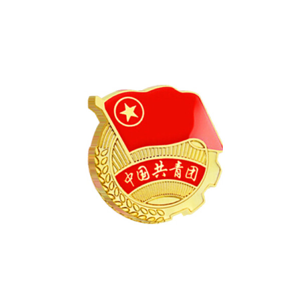 信发(trnfa)加大磁扣款(10个装)标准党徽徽章 /中