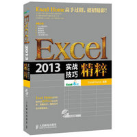 Excel 2013实战技巧精粹