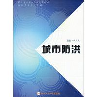 提升专业服务产业发展能力高职高专系列教材：城市防洪