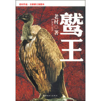 鹫王(老村作品·全新修订插图本)