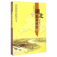 2013湖北发展研究