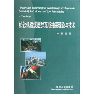 松软低透煤层群瓦斯抽采理论与技术