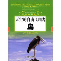 天空的自由飞翔者：鸟
