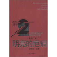 第2届“华语文学传媒大奖”获奖作者作品集·中短篇小说集:明亮的疤痕
