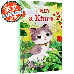 《 I am a Kitten 我是一只小猫》英文原版绘本