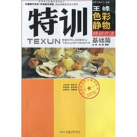 名师授艺新概念系列丛书·规范经典教程迎考美术教材:王峰色彩静物特训方法(基础篇)