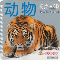 童童碟碟卡:动物(卡片+VCD)