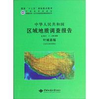 中华人民共和国区域地质调查报告（1：250000 叶城县幅 J43C003004）